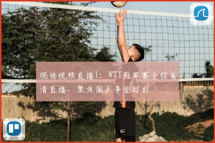 现场视频直播1：WTT冠军赛全程高清直播，聚焦国乒争金时刻