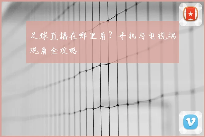 足球直播在哪里看？手机与电视端观看全攻略