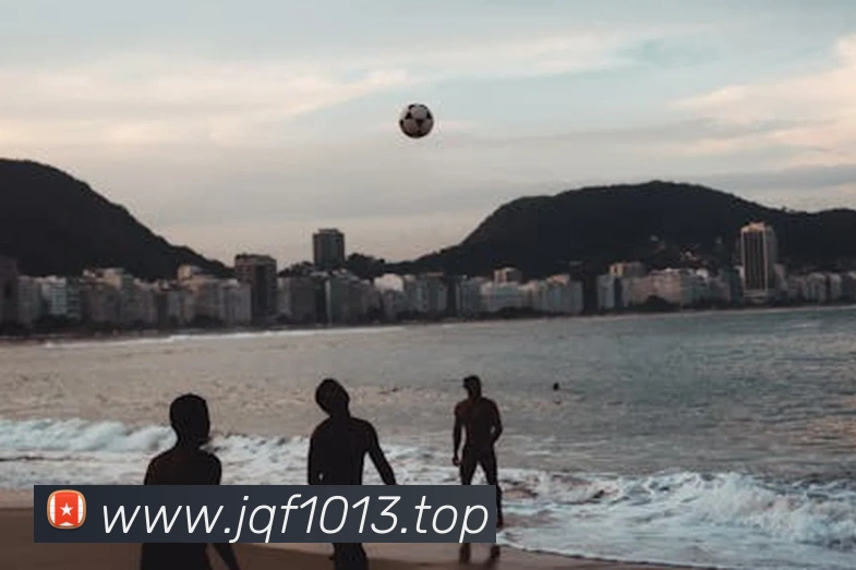 开云app官方入口网页版APP 封面图